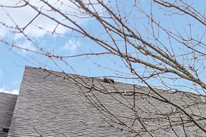 Whitman Crossing Whitman Crossing - Photo Gallery 4