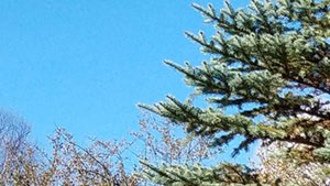 Pet park Pet park - Photo Gallery 5