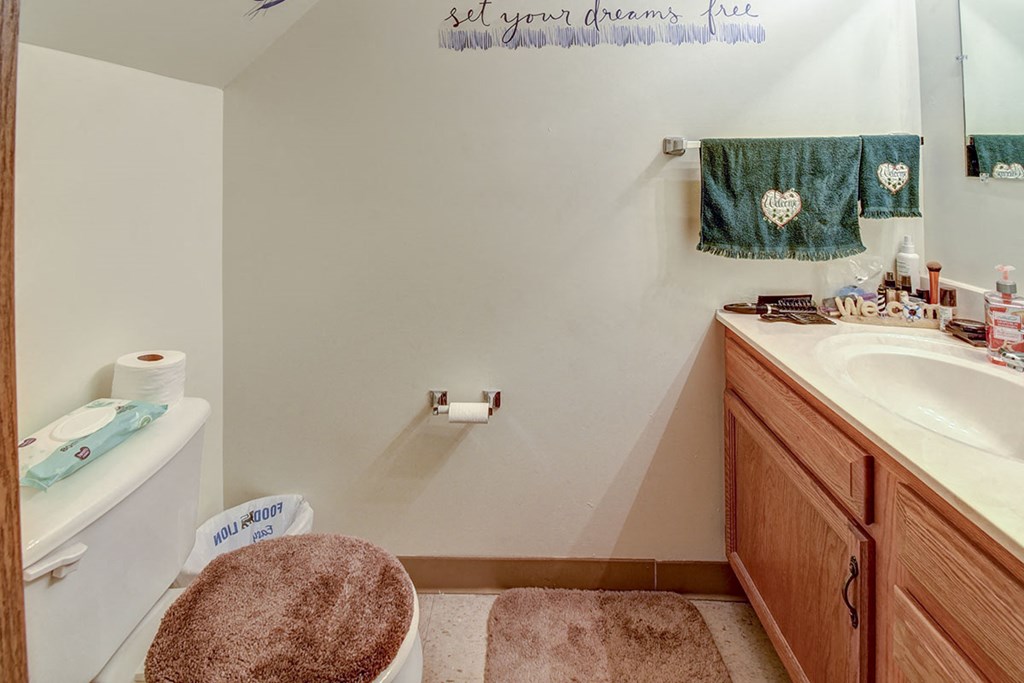 a bathroom with a toilet and a sink and a mirror