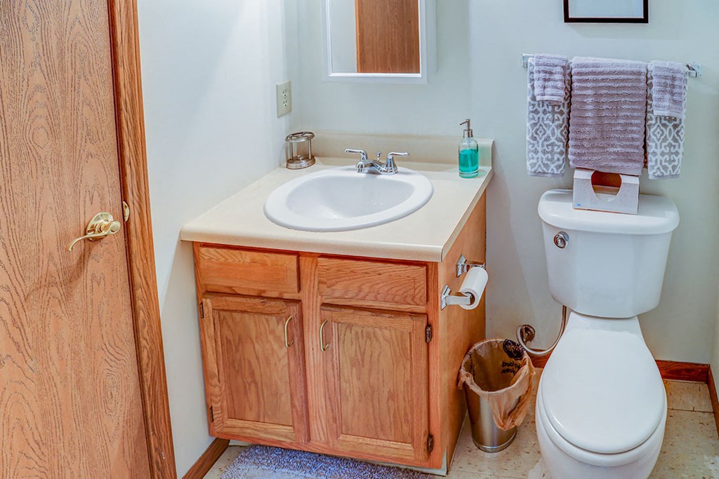 a bathroom with a sink and a toilet