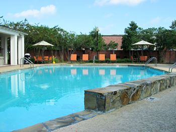 Saltwater Swimming Pool