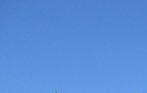 Highlands Of Grand Pointe Apartments In Lafayette La