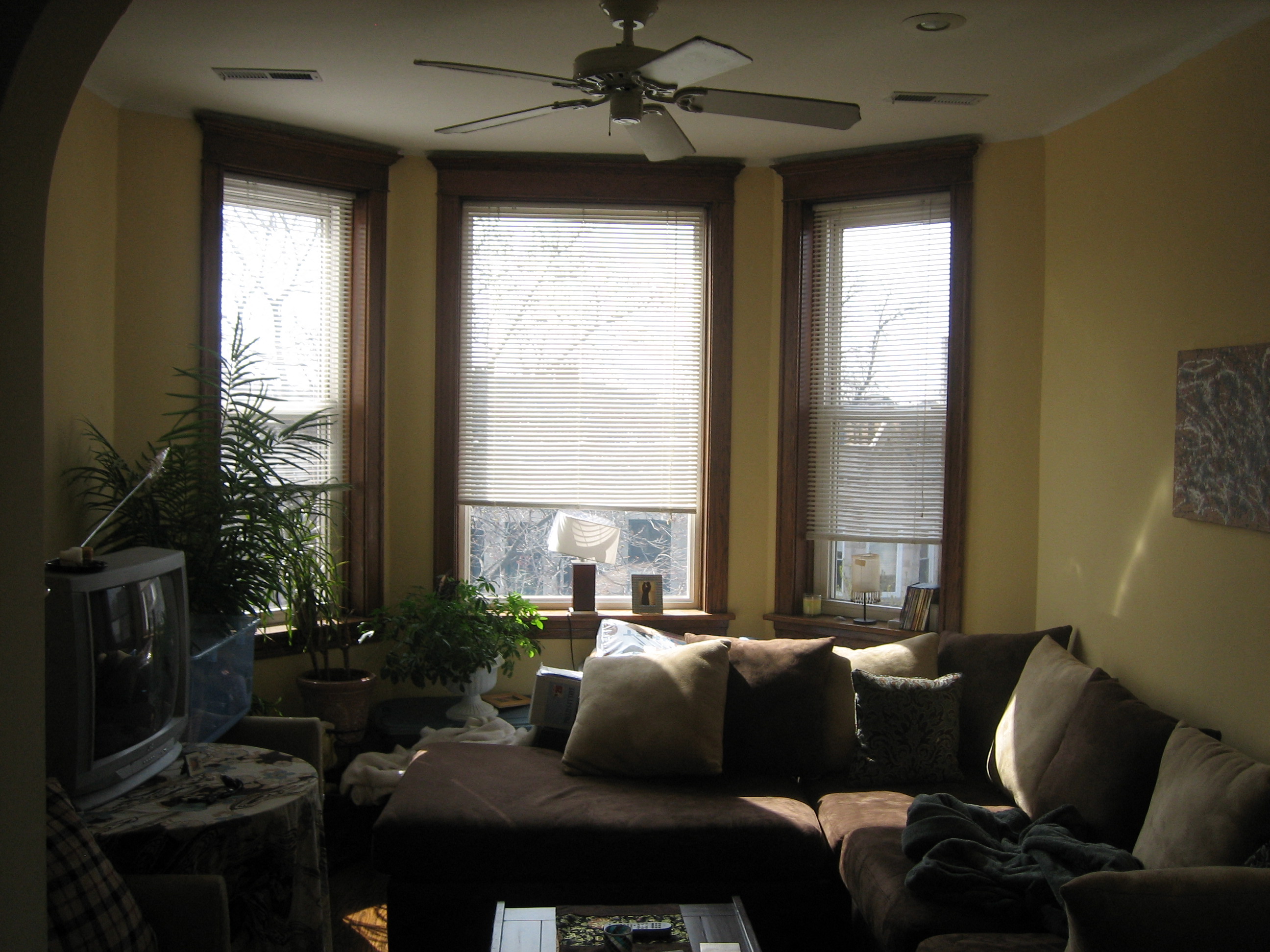 a living room with a couch and a ceiling fan and three windows