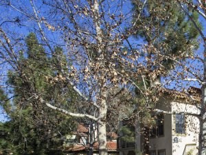 Westcreek Apartments Exterior
