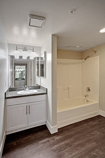 Holly Street Bathroom