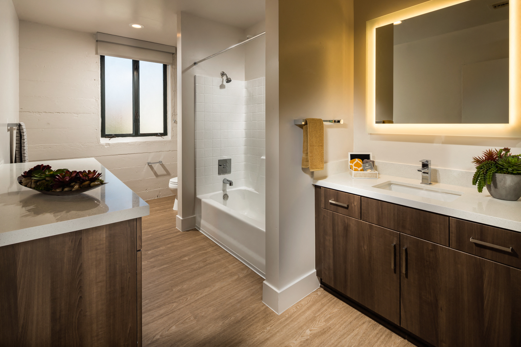 Holly Street Master Bath