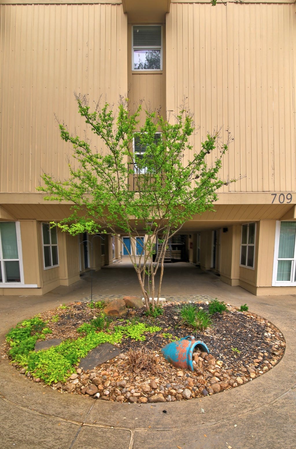 a tree and a vase in front of a building
