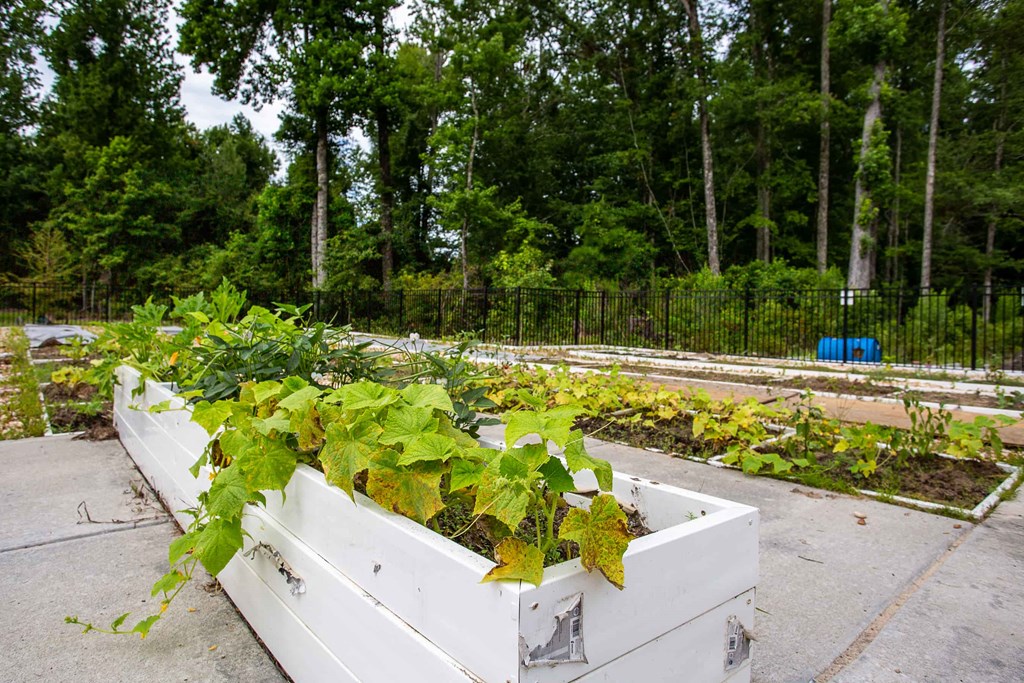 a garden in a white container with plants