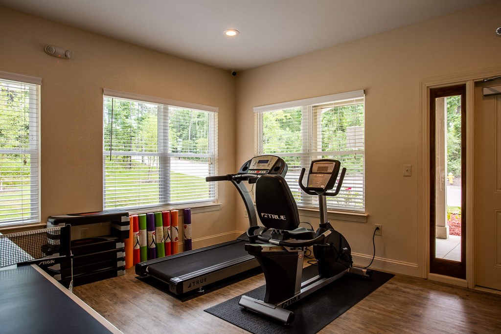 the gym has plenty of windows and a treadmill