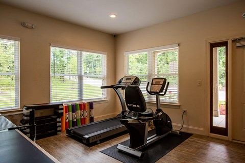 the gym has plenty of windows and a treadmill