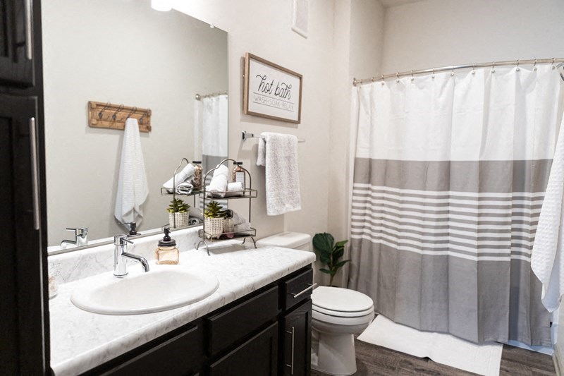 a bathroom with a sink and a toilet and a shower
