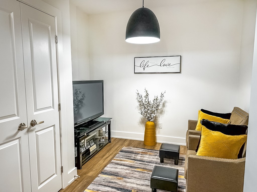 A living room with a television, a couch, and a rug.