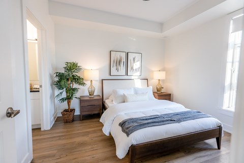 A bedroom with a large bed and a potted plant.