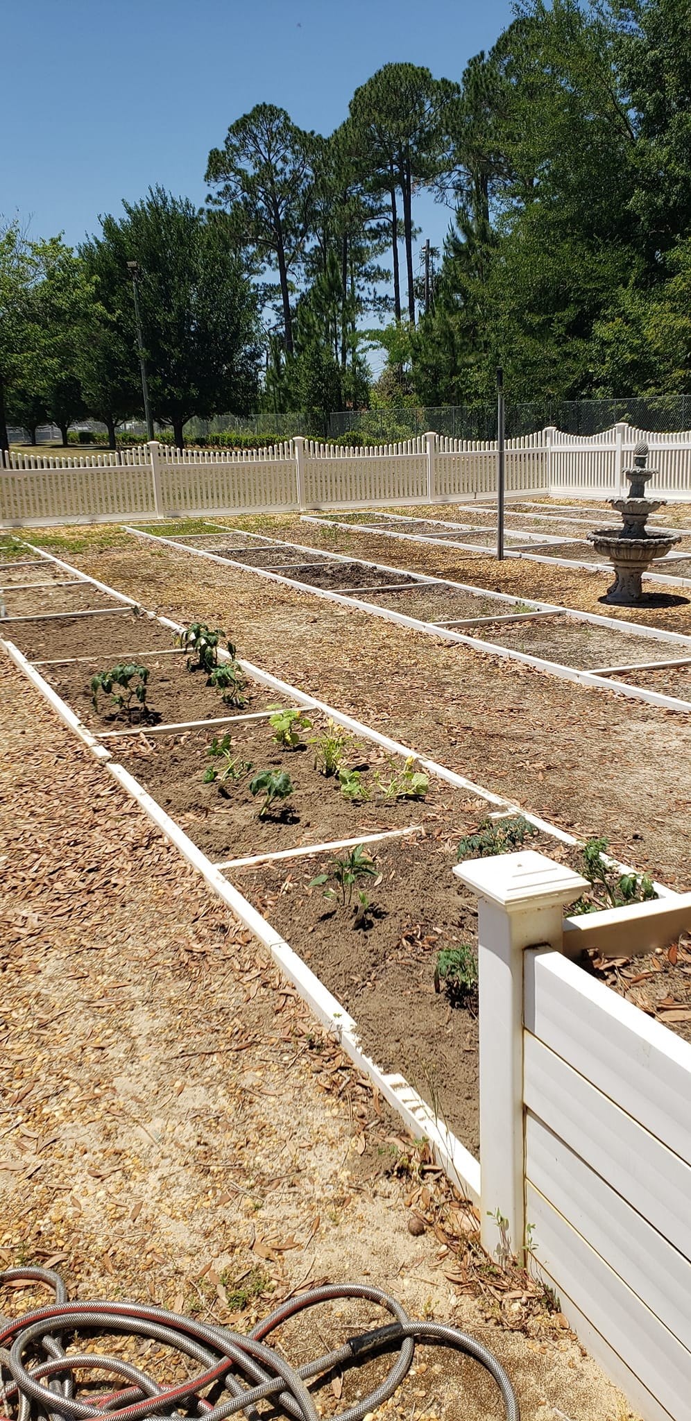 a garden with a white fence and some plants in it