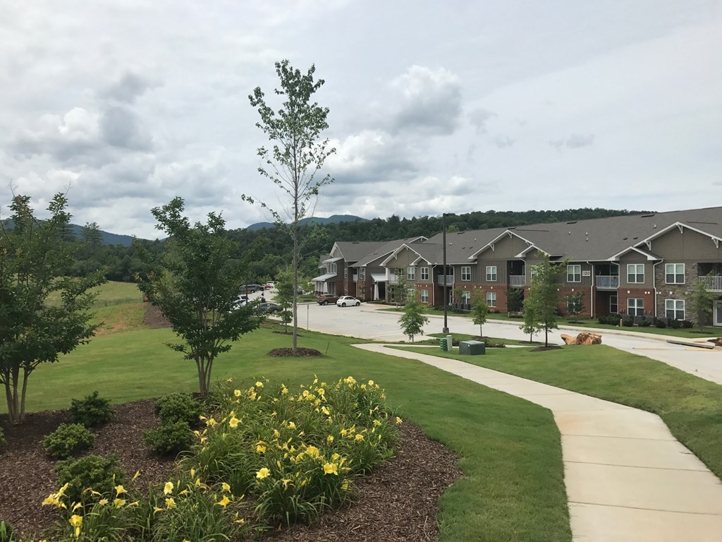 a view of a neighborhood with trees and grass