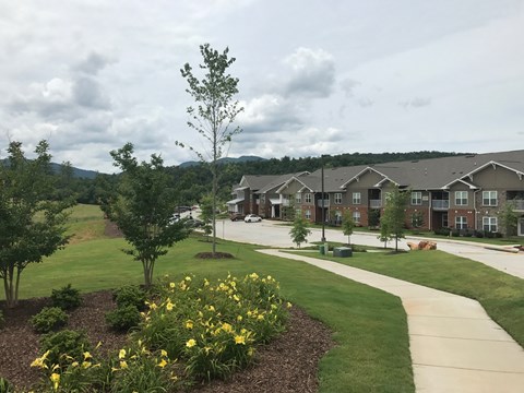 a view of a neighborhood with trees and grass
