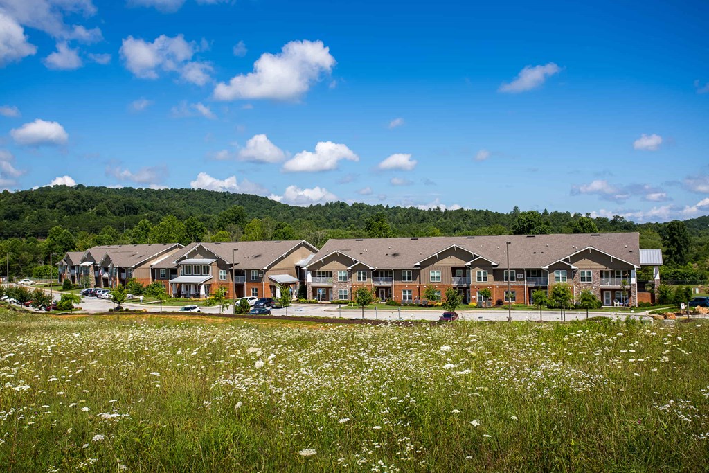 a group of houses in front of a field of flowers