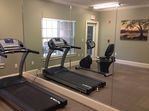the fitness room has two treadmills and ellipticals