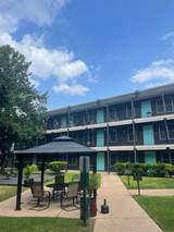 1-bedroom apartment at ANDREWS PLACE APARTMENTS in Austin