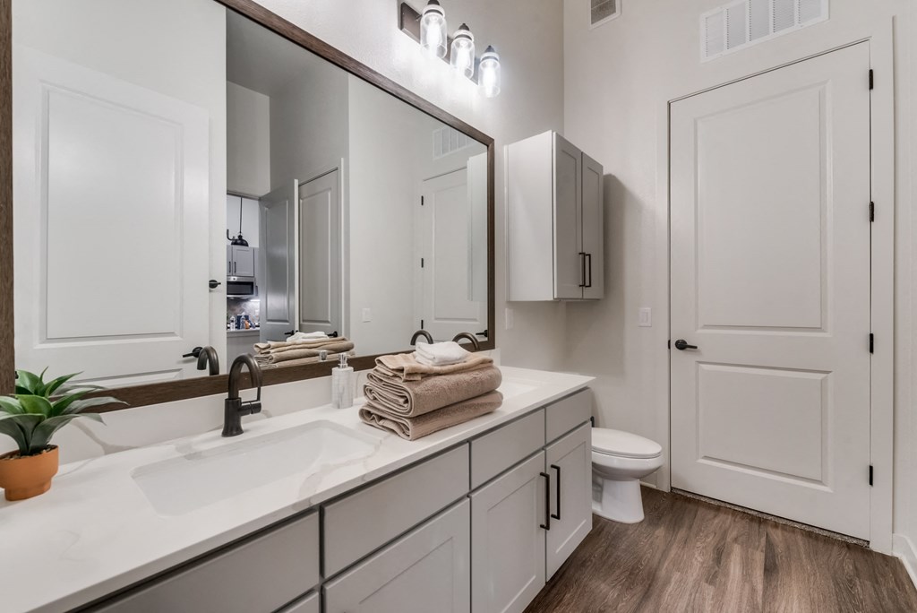 a bathroom with a large mirror and a sink and a toilet