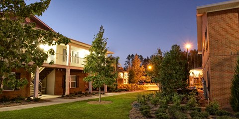 a city street with houses and trees at night