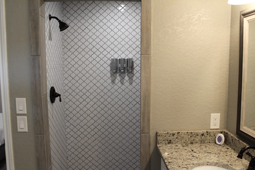 a bathroom with a sink and a shower