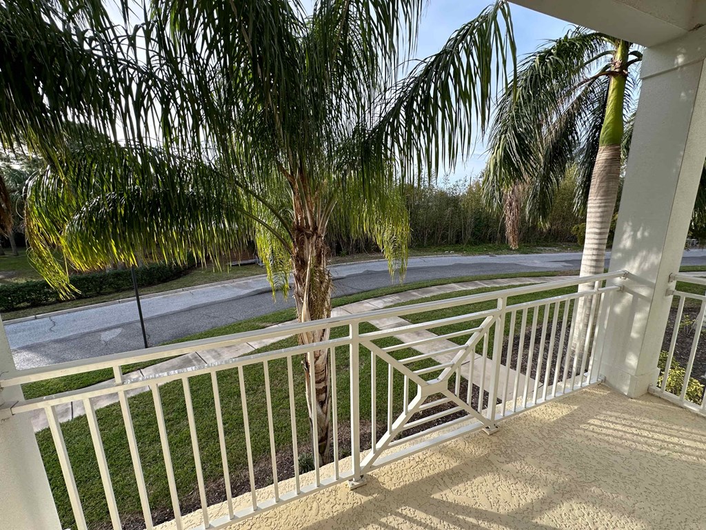 a palm tree on a balcony with a white railing