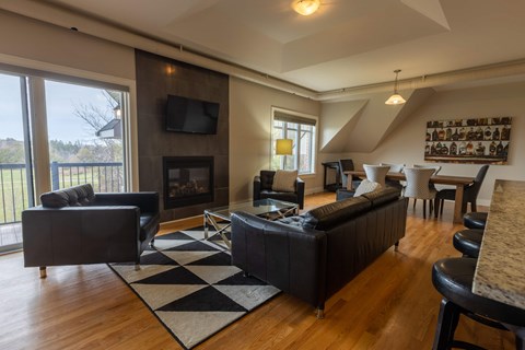 A living room with a fireplace and a television.