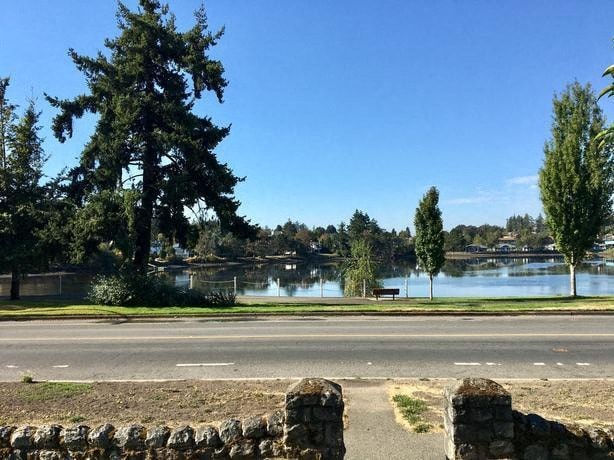 a body of water next to a road and trees