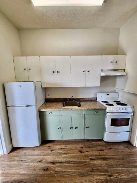 a kitchen with a stove refrigerator and a sink