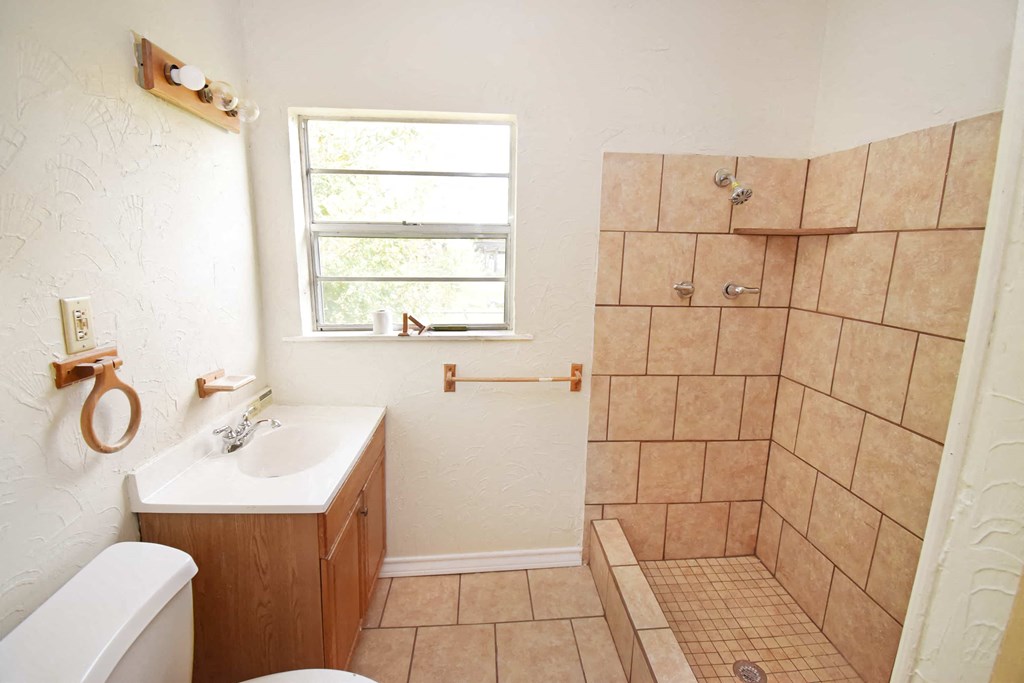 a bathroom with a sink toilet and a shower