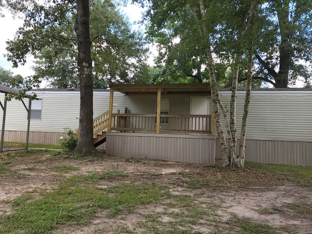 the back of a house with a porch and a tree