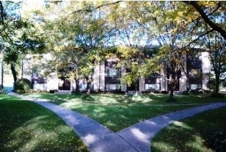 A pathway in a park with trees on either side.