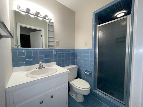 a blue and white bathroom with a shower toilet and sink