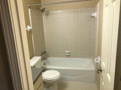 a bathroom with a toilet and a bath tub