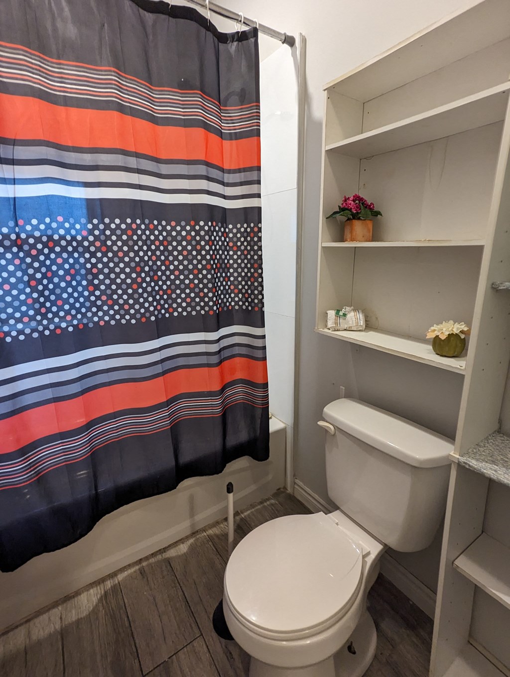 a bathroom with a shower curtain and a toilet