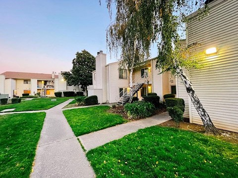 a sidewalk in front of a house with green grass