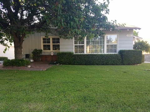 the front of the house with a yard and a tree
