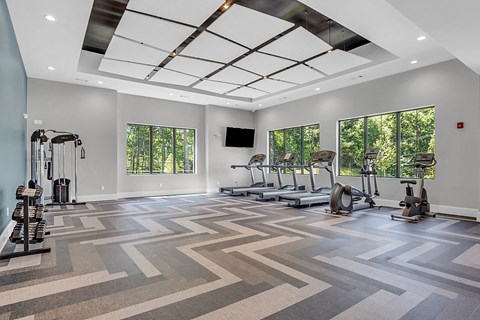the gym at the grove has treadmills and other fitness equipment