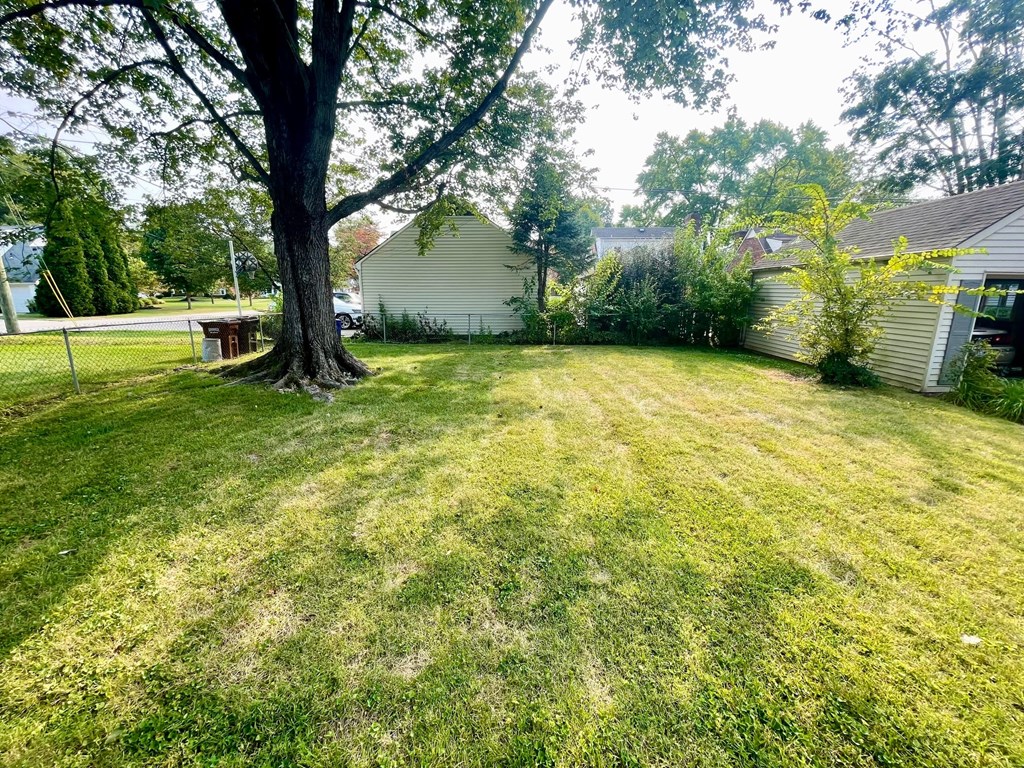 A backyard with a large tree and a house in the background.