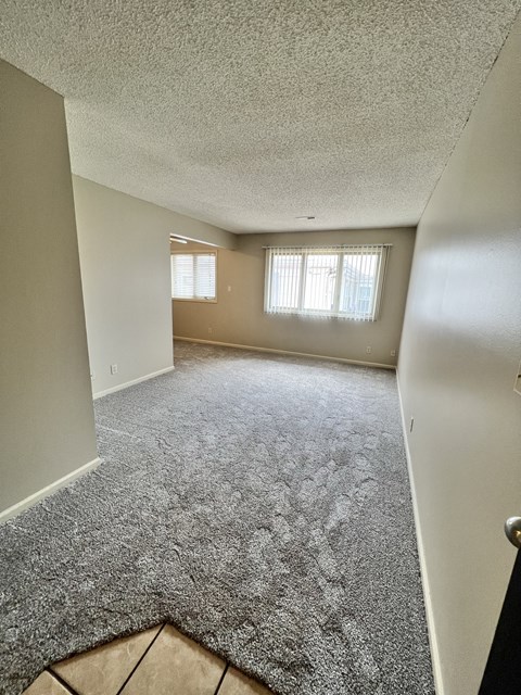 an empty living room with carpet and a window