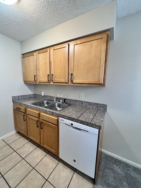an empty kitchen with a sink and a dishwasher