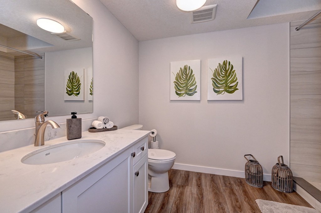 a bathroom with a sink and a toilet