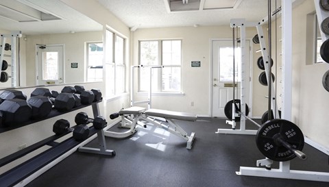 a gym with weights and dumbbells on the floor and windows