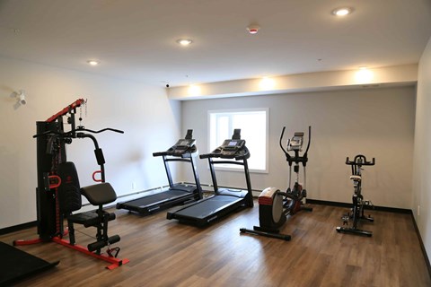 A home gym with a variety of equipment including a treadmill, rowing machine, and weight bench.