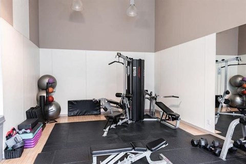 A gym with a variety of equipment including weights and a bench.