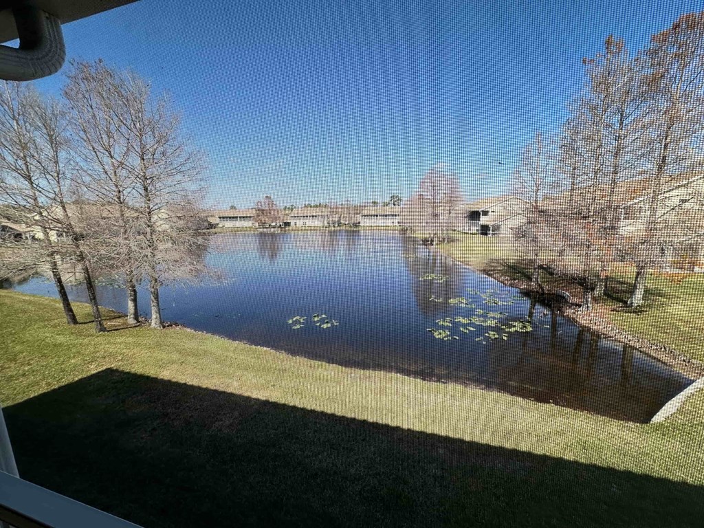 a view of a pond with a bridge in the background