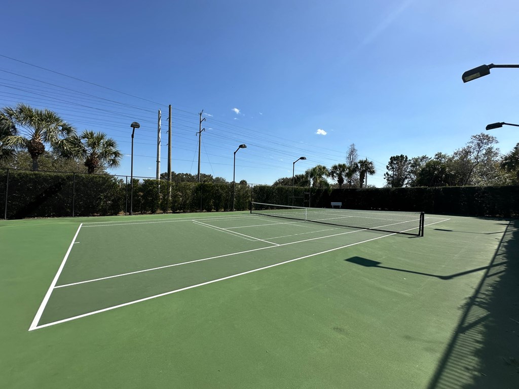 a tennis court in a park with palm trees