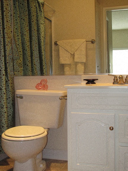 a bathroom with a toilet and a sink and a mirror