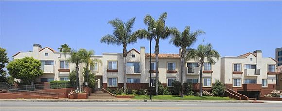 a row of houses with palm trees in front of them